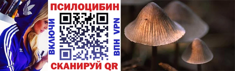 Галлюциногенные грибы ЛСД  Городец 