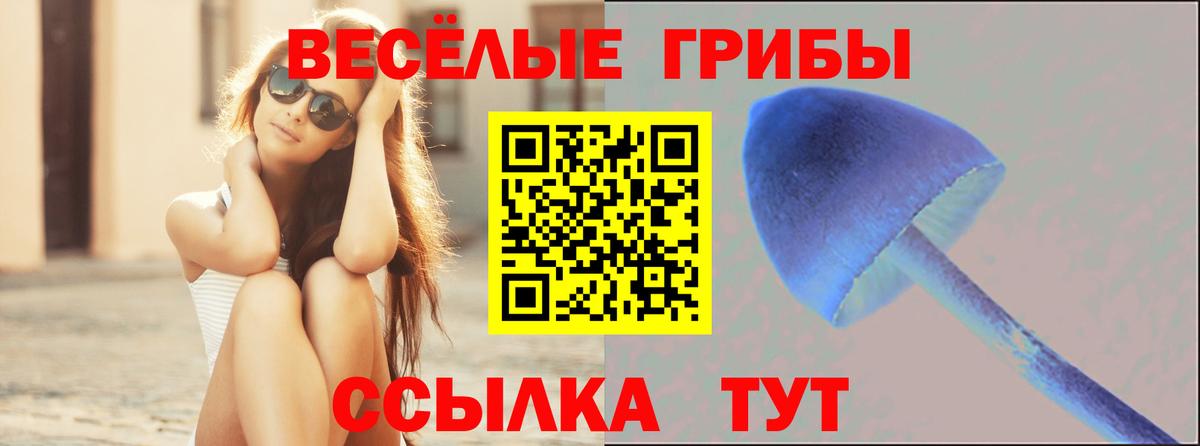 Псилоцибиновые грибы Psilocybe  Вход с VPN  Галлюциногенные грибы мицелий  Городец 