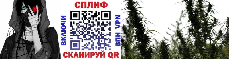 Шишки марихуана тримм  Городец 